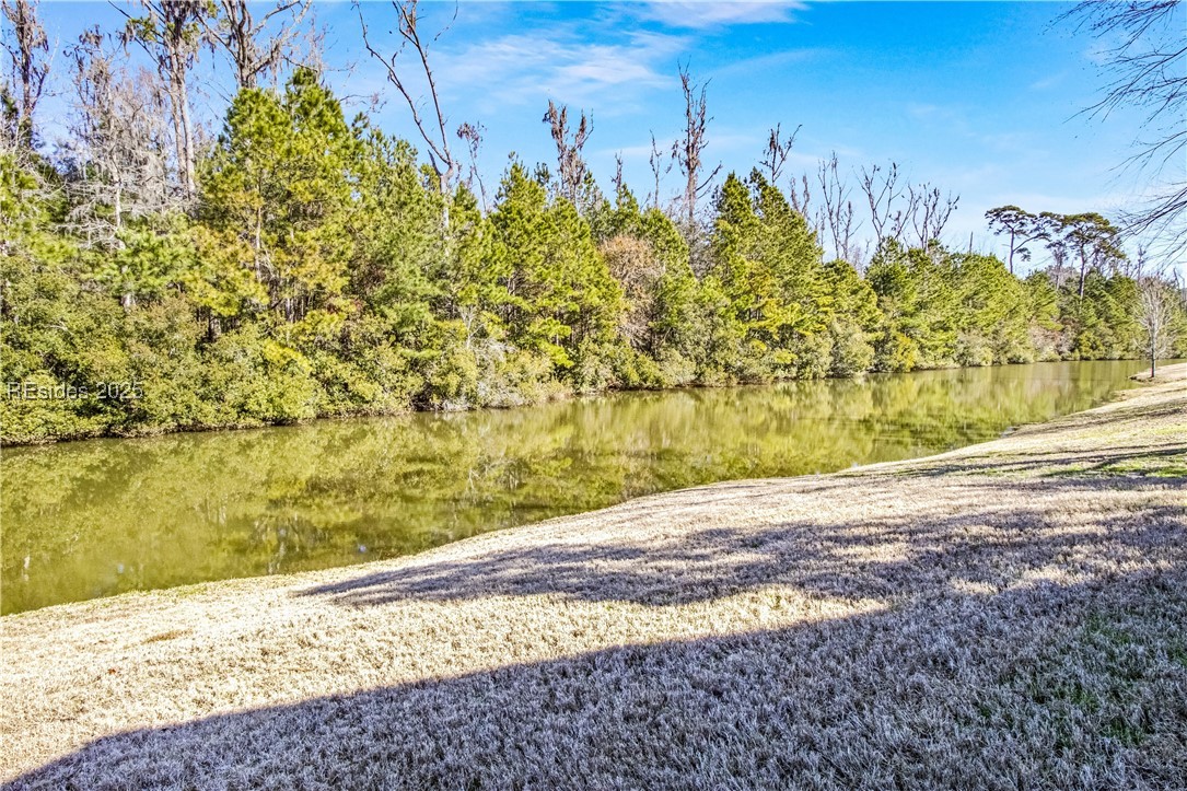 47 Raven Glass Lane, Bluffton, South Carolina image 25