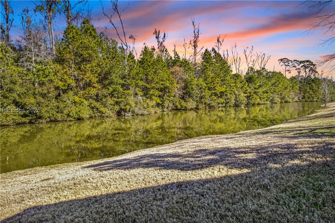 47 Raven Glass Lane, Bluffton, South Carolina image 26