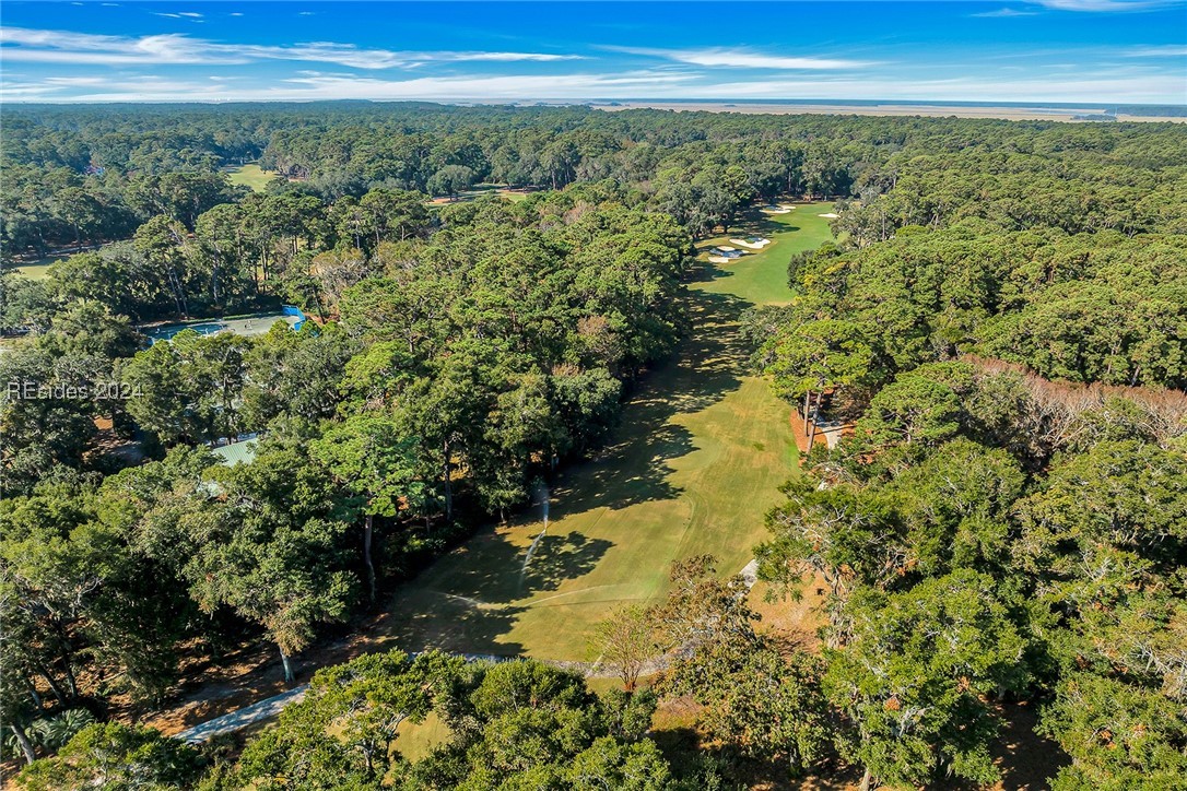 15 Outer Banks Way, Daufuskie Island, South Carolina image 42