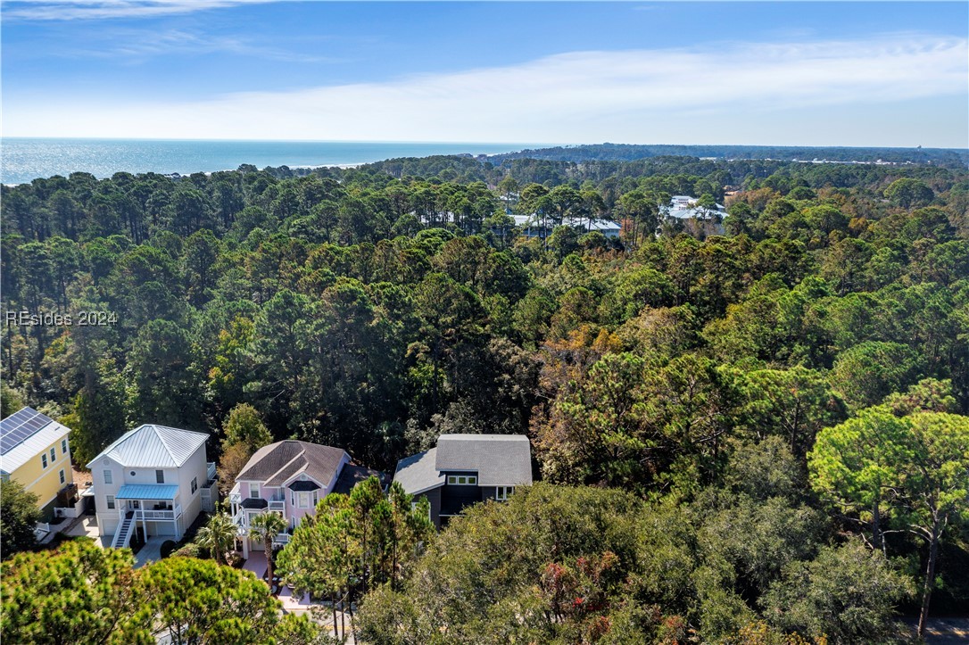 26 Bradley Beach Road, Hilton Head Island, South Carolina image 44
