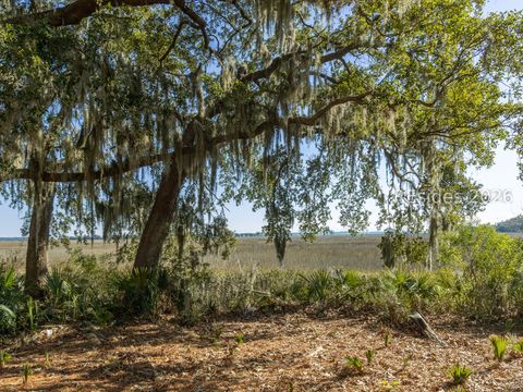 Vacant Land For Sale - 2497 Knowles Island Road<br/> Ridgeland, SC 29936
