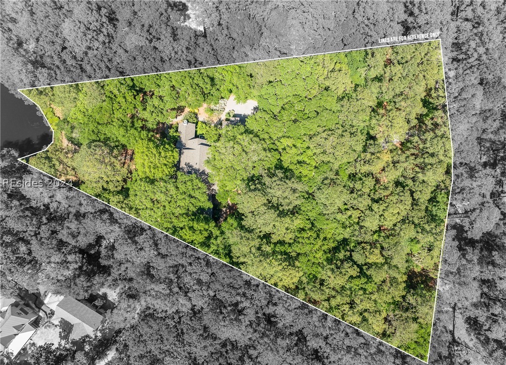 181 Spring Island Drive, Okatie, South Carolina image 3