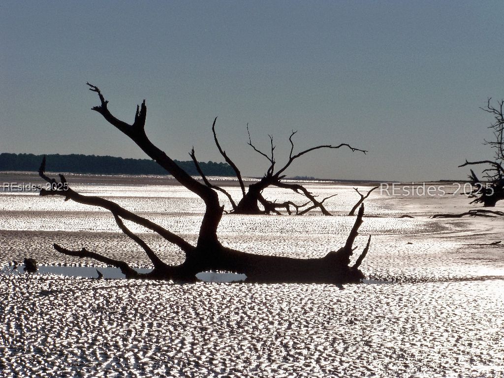 Saint Helena Island, South Carolina 29920, United States, 3 Bedrooms Bedrooms, ,2 BathroomsBathrooms,Residential,Active,123924