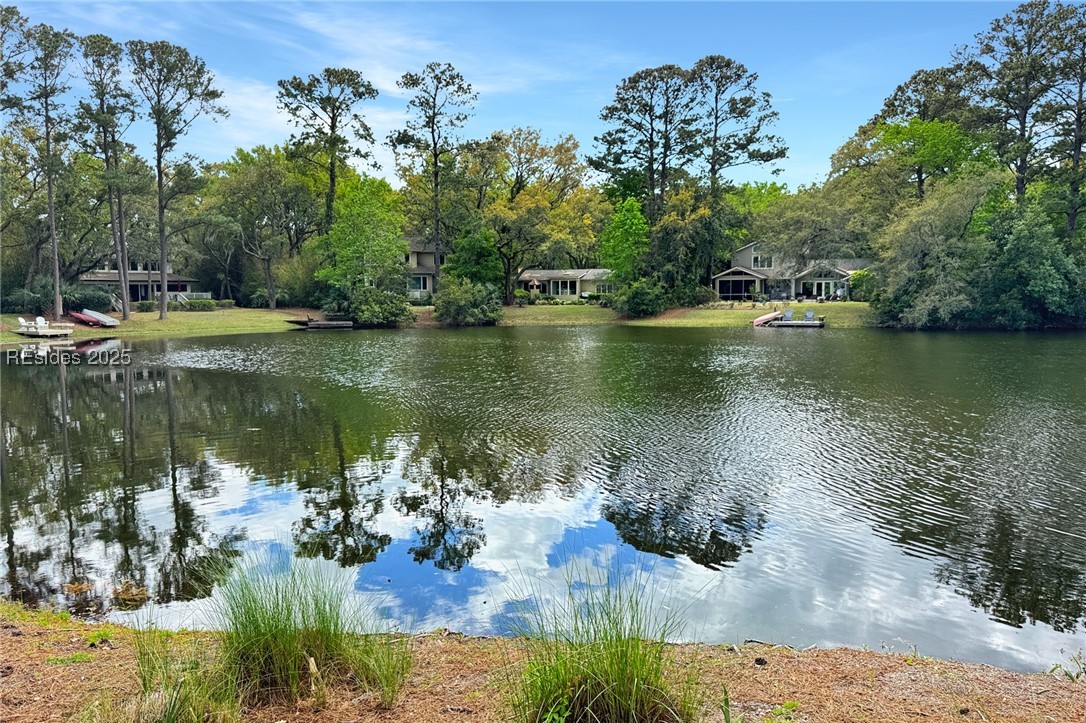 72 Full Sweep, Hilton Head Island, Texas image 42