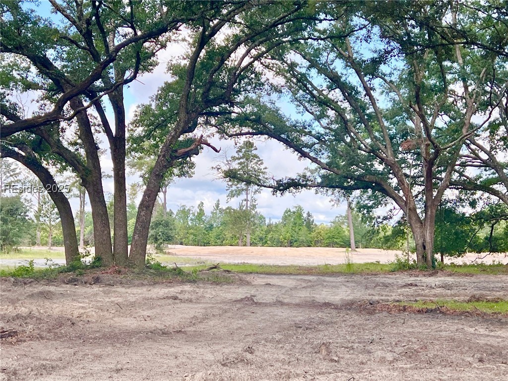 11421 Gillison Branch Road, Ridgeland, Texas image 13
