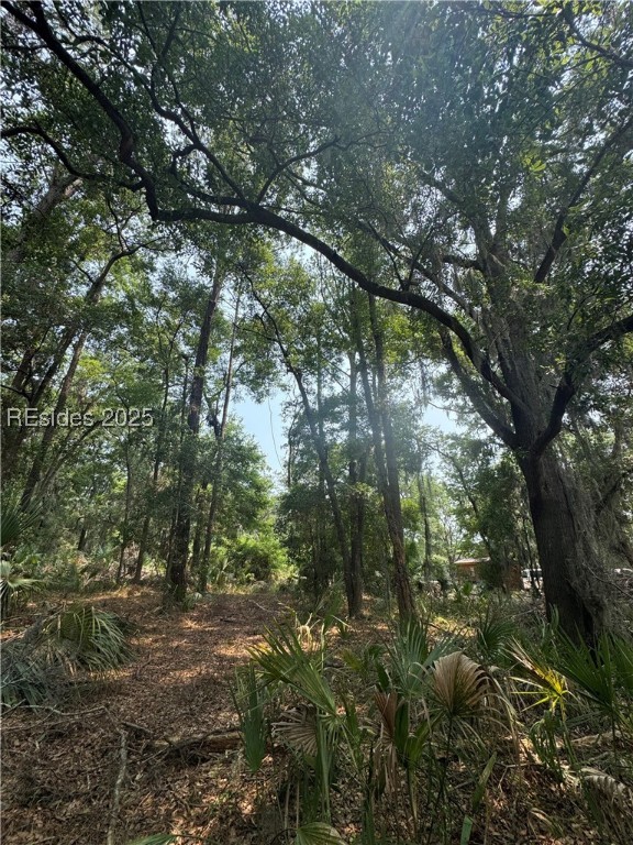 32 Haig Point Rd Rd, Daufuskie Island, South Carolina image 1