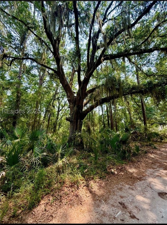 32 Haig Point Rd Rd, Daufuskie Island, South Carolina image 2