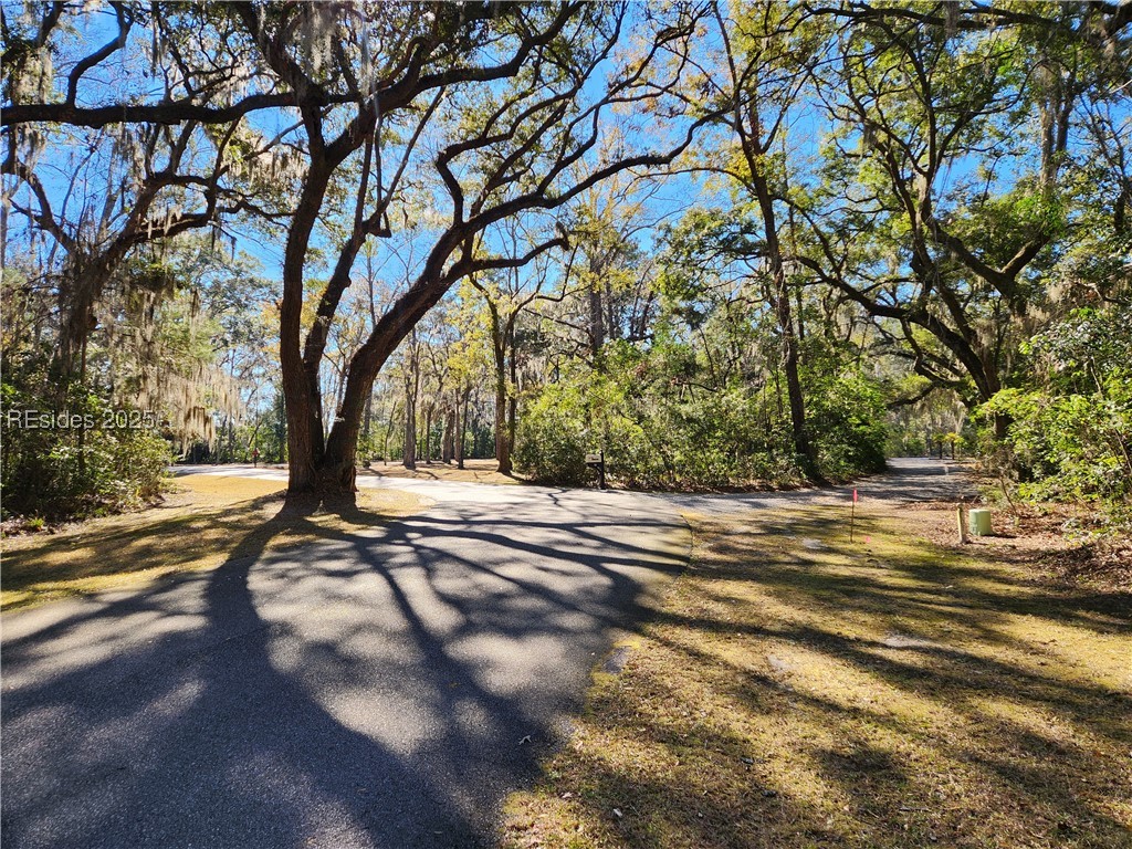 88 Tomotley Barony Drive, Seabrook, South Carolina image 9