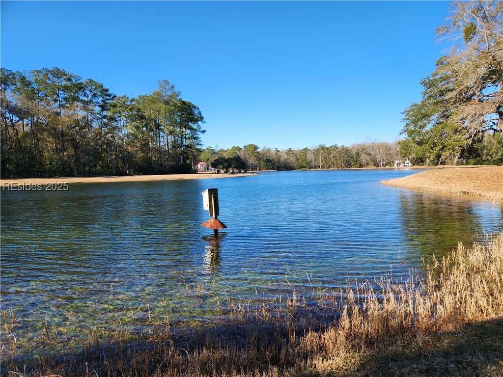 88 Tomotley Barony Drive, Seabrook, South Carolina image 14