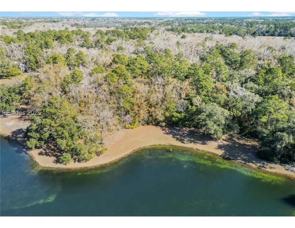 88 Tomotley Barony Drive, Seabrook, South Carolina image 4