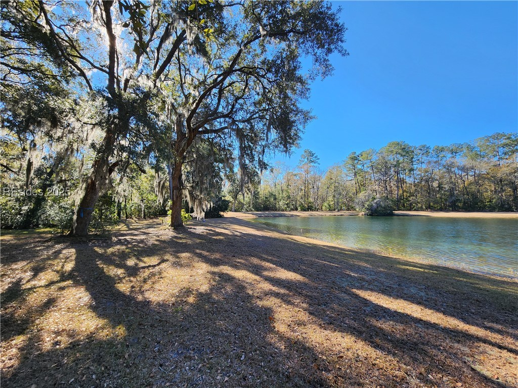 88 Tomotley Barony Drive, Seabrook, South Carolina image 15