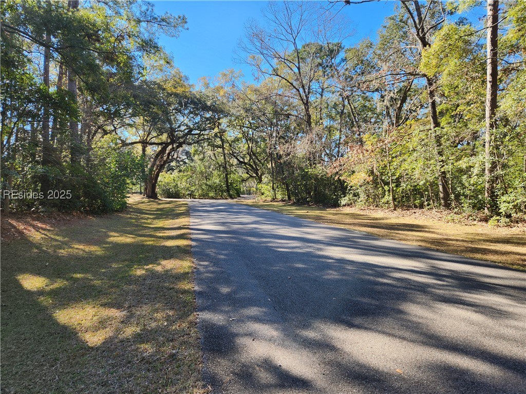88 Tomotley Barony Drive, Seabrook, South Carolina image 10
