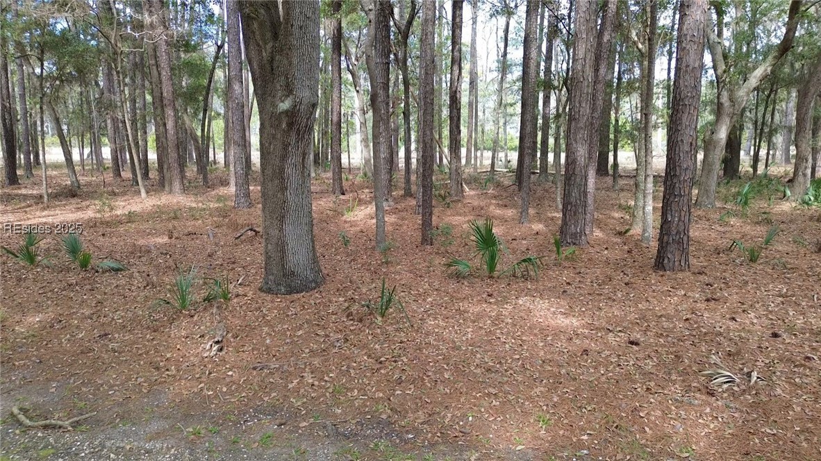19 Masters Court, Daufuskie Island, South Carolina image 5
