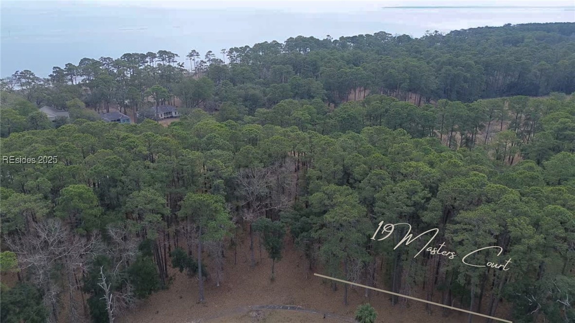 19 Masters Court, Daufuskie Island, South Carolina image 1