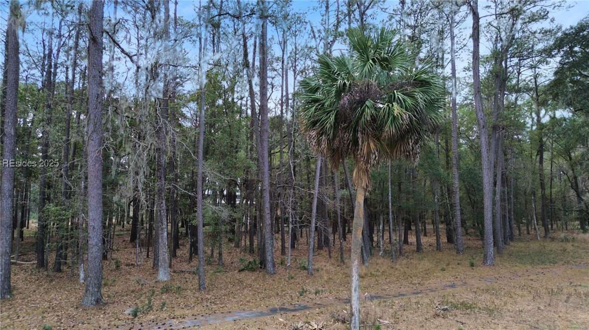 19 Masters Court, Daufuskie Island, South Carolina image 6