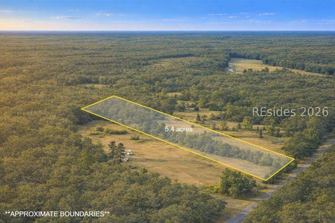 Vacant Land For Sale - Calf Pen Bay Road<br/> Jasper County, Pineland, SC 29934