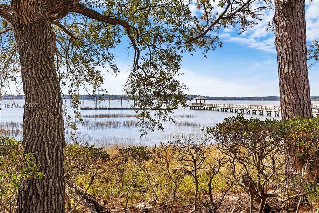 58 Heron Walk, Okatie, South Carolina image 40