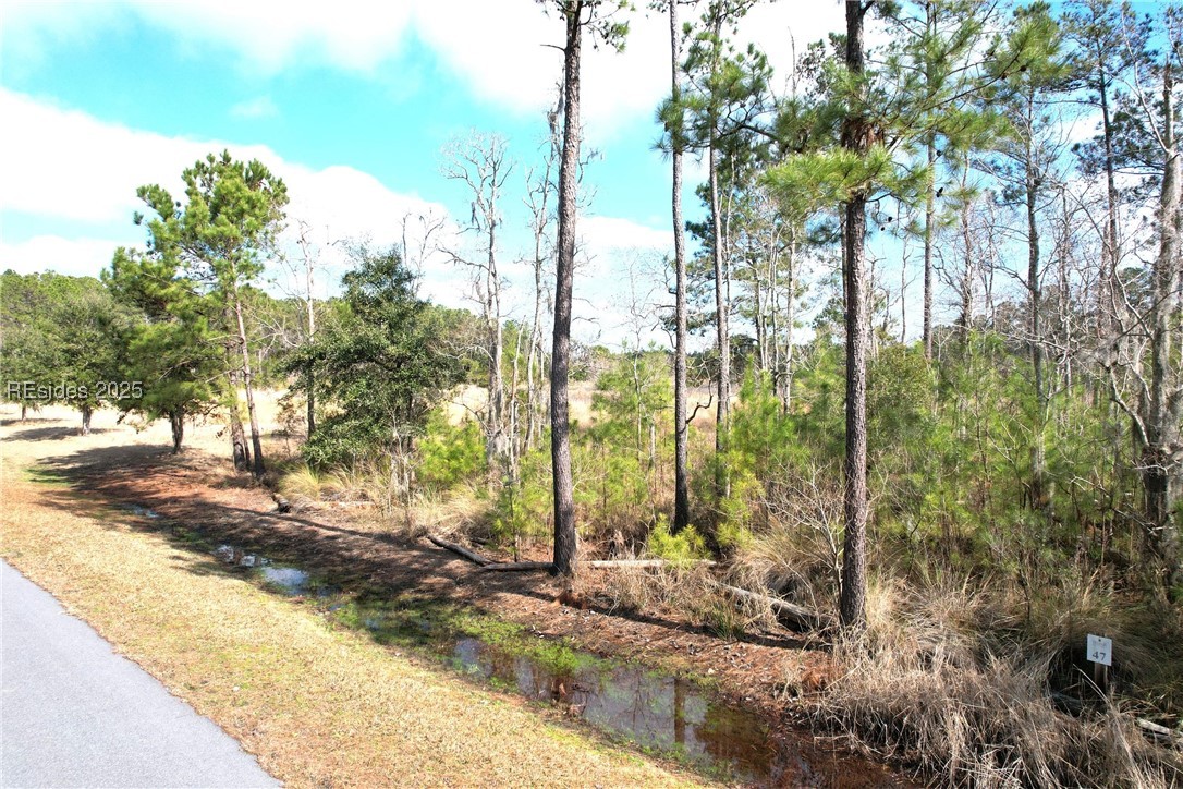 517 Bridle Path Boulevard, Hardeeville, South Carolina image 11