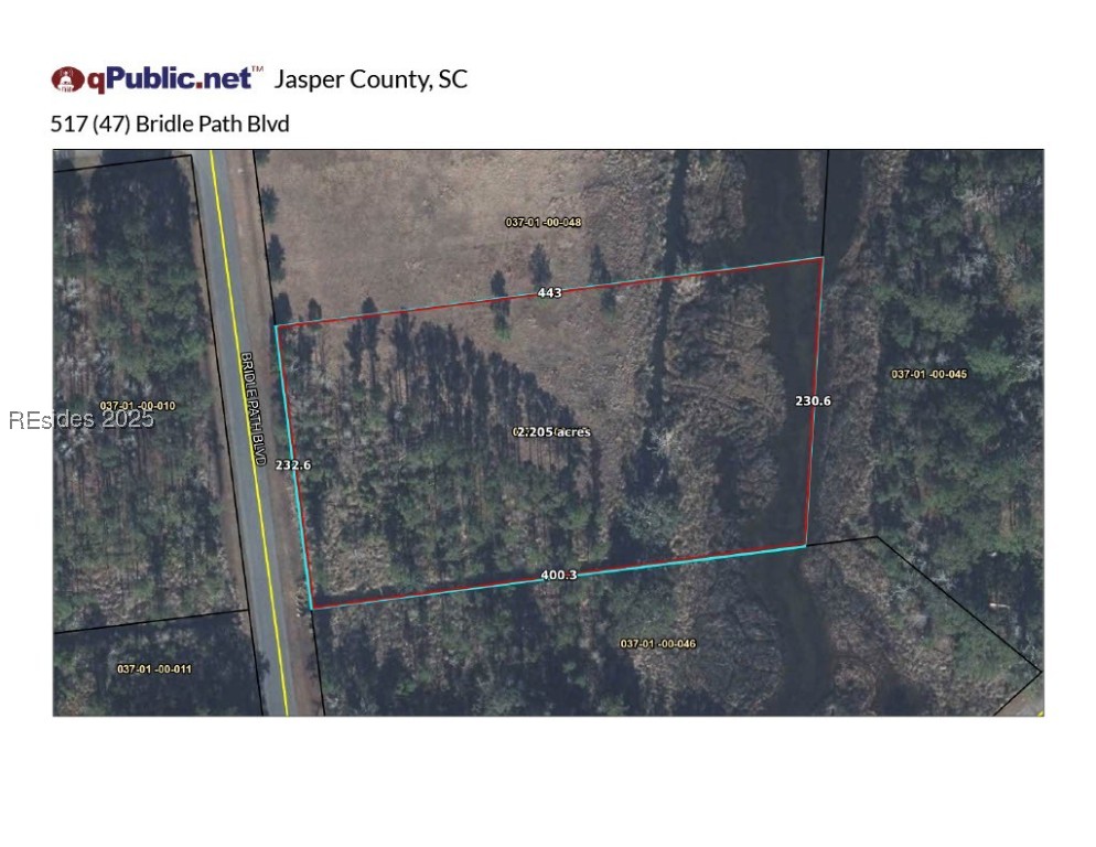 517 Bridle Path Boulevard, Hardeeville, South Carolina image 1
