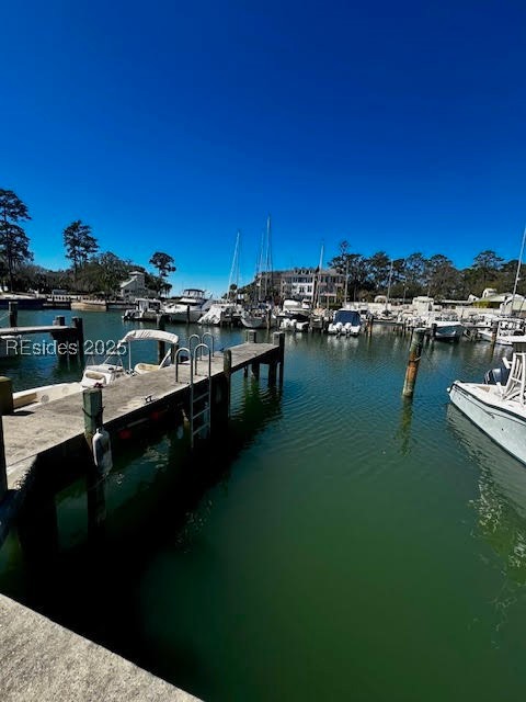 C-61 Windmill Harbour, Hilton Head Island, South Carolina image 6