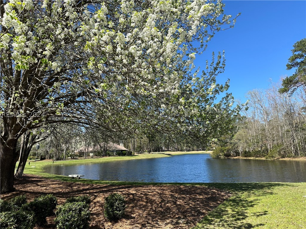 237 Club Gate, Bluffton, South Carolina image 11
