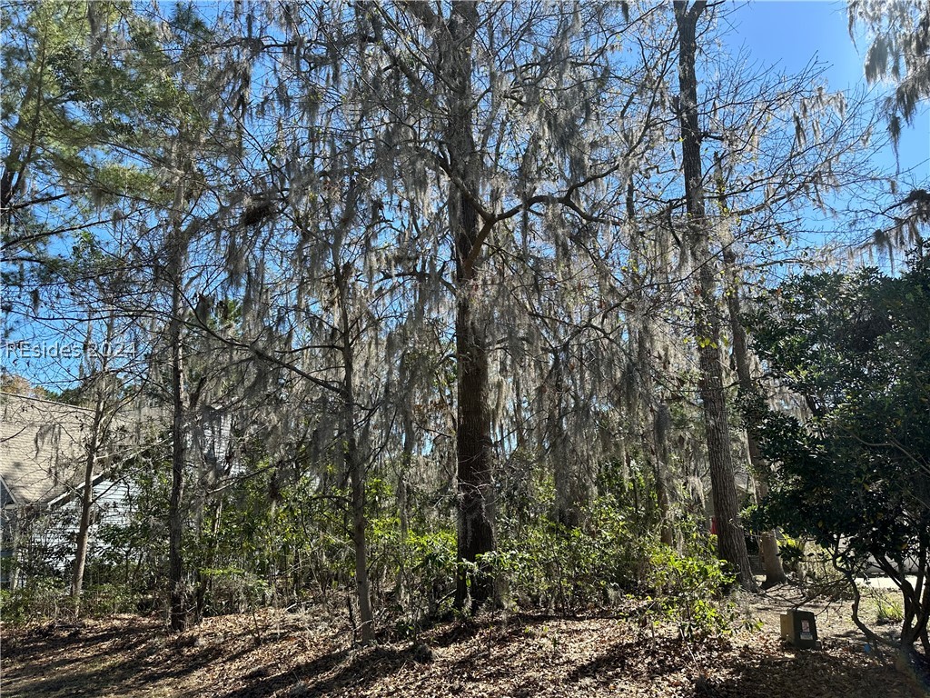 237 Club Gate, Bluffton, South Carolina image 1