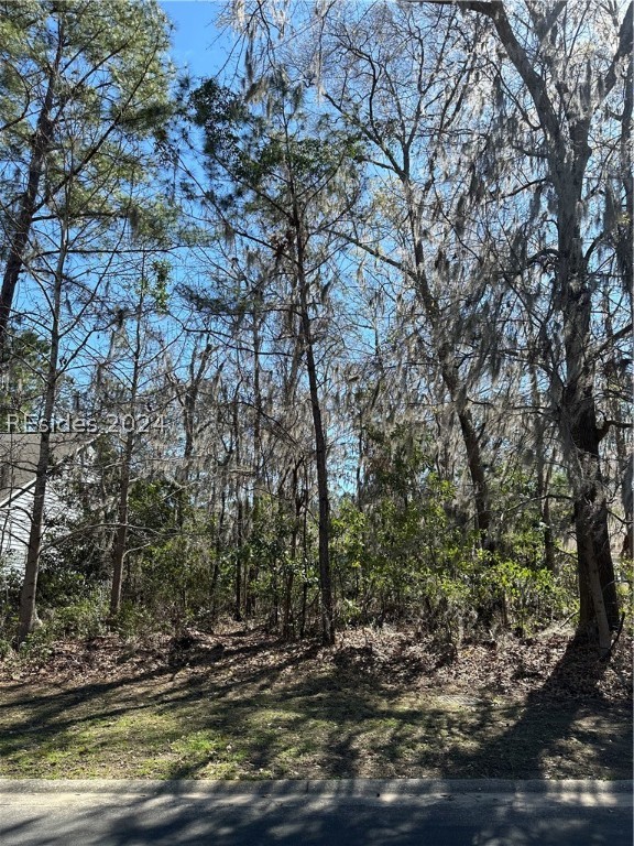 237 Club Gate, Bluffton, South Carolina image 2
