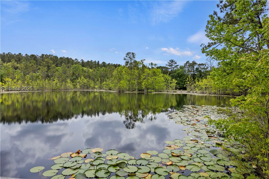 220 Rudy Drive, Hardeeville, Texas image 30
