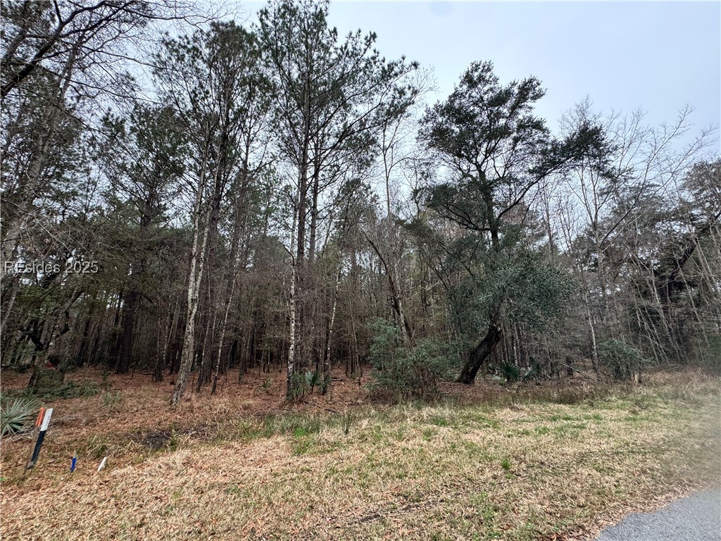 852 Somerset Drive, Yemassee, South Carolina image 4