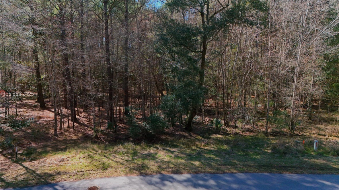 852 Somerset Drive, Yemassee, South Carolina image 3