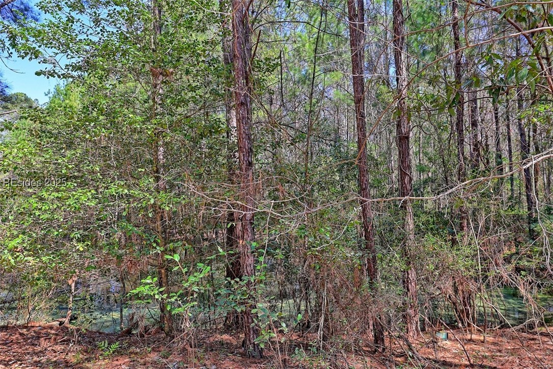 4644 Firetower Road, Ridgeland, South Carolina image 30