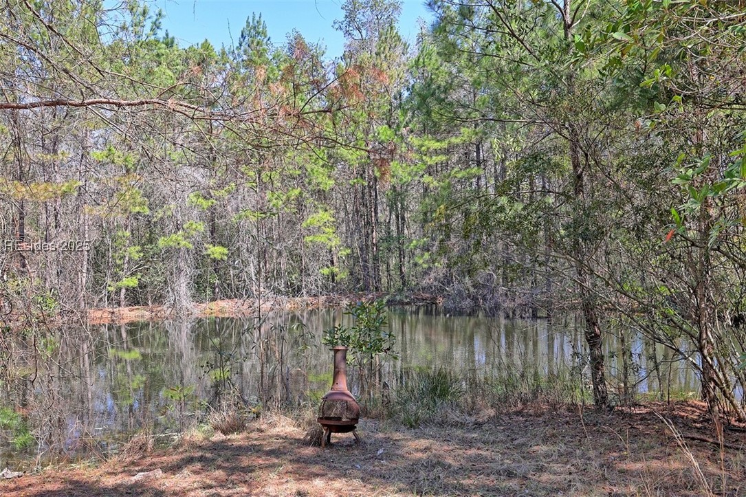 4644 Firetower Road, Ridgeland, South Carolina image 33