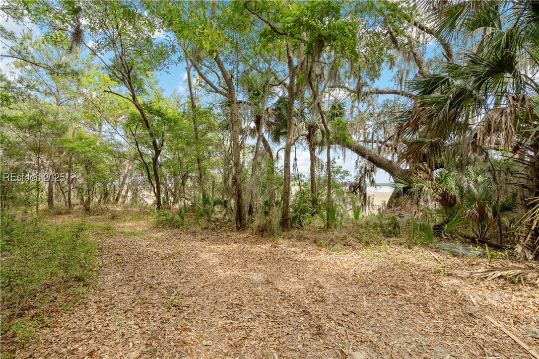 54 Bud Miley Drive, Saint Helena Island, South Carolina image 5
