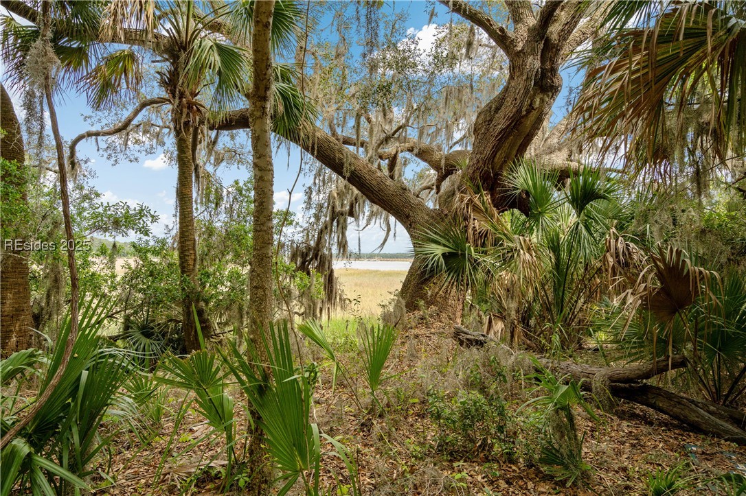 54 Bud Miley Drive, Saint Helena Island, South Carolina image 4