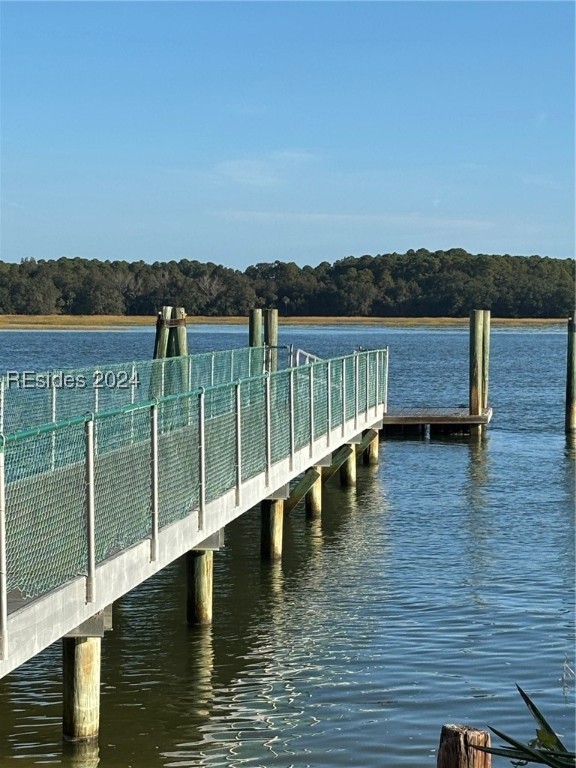 43 Jenkins Island Rd, Hilton Head Island, South Carolina image 18