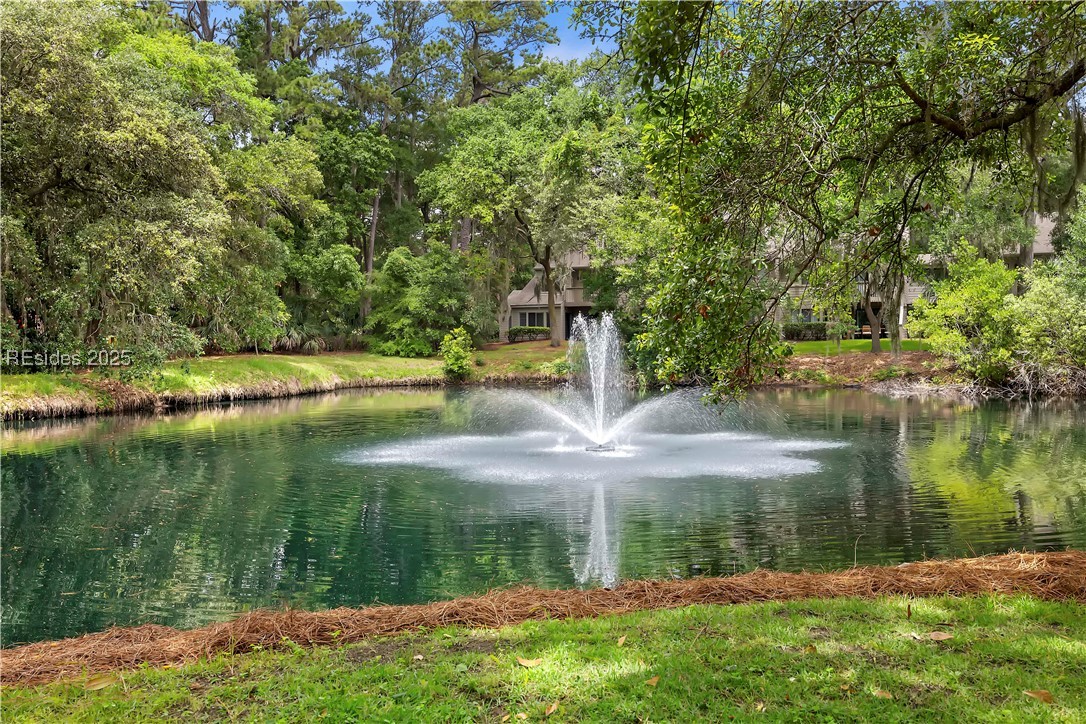 108 Lighthouse Road #2364, Hilton Head Island, South Carolina image 43