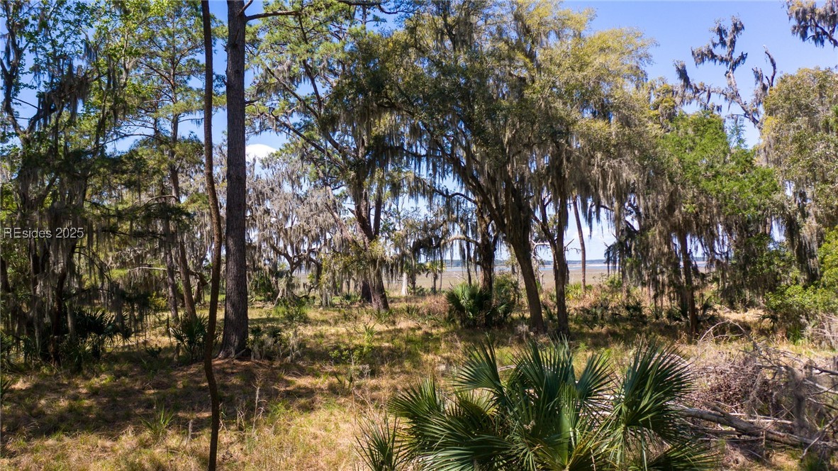 11 Marsh Lake Ln Ln, Daufuskie Island, South Carolina image 6