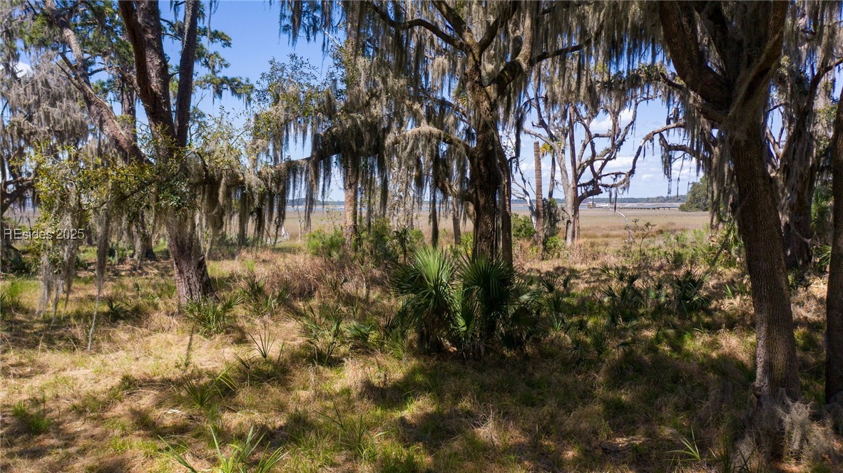 11 Marsh Lake Ln Ln, Daufuskie Island, South Carolina image 7