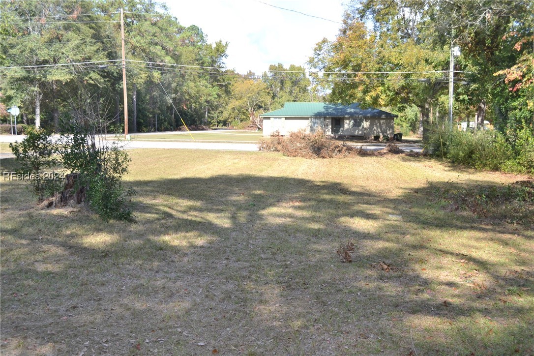 667 Water Street, Allendale, South Carolina image 17