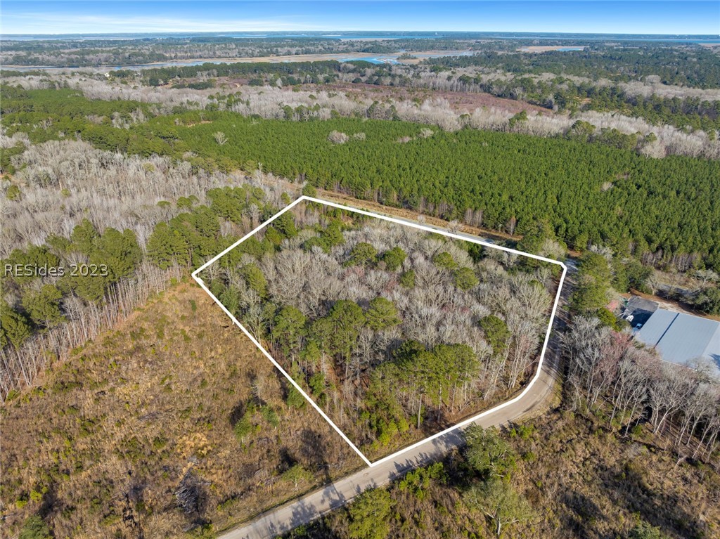 Tbd Lowcountry Drive, Ridgeland, South Carolina image 10