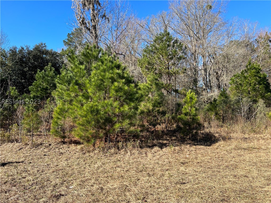 Tbd Lowcountry Drive, Ridgeland, South Carolina image 13