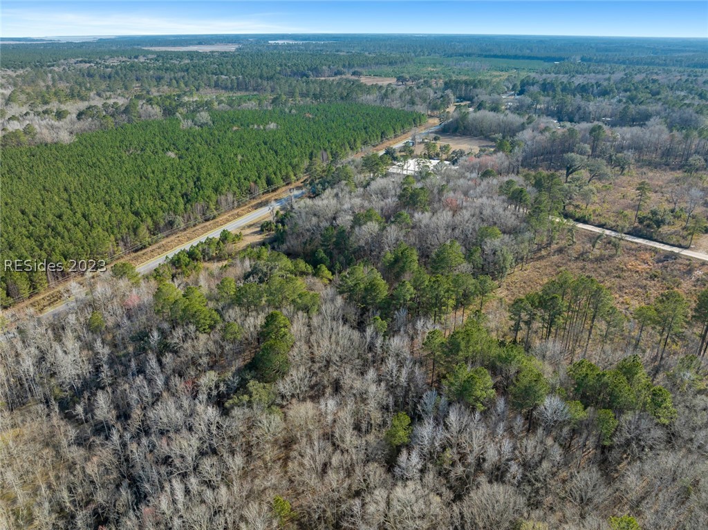 Tbd Lowcountry Drive, Ridgeland, South Carolina image 22