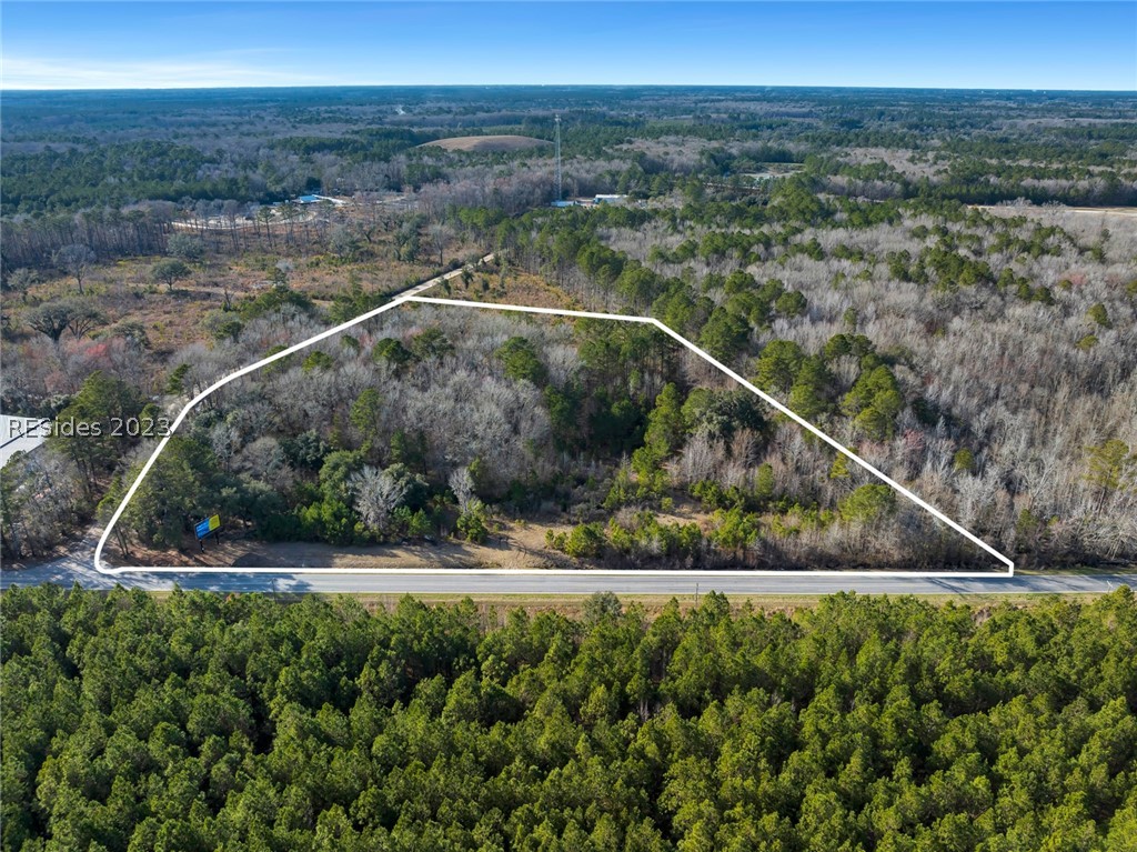 Tbd Lowcountry Drive, Ridgeland, South Carolina image 2