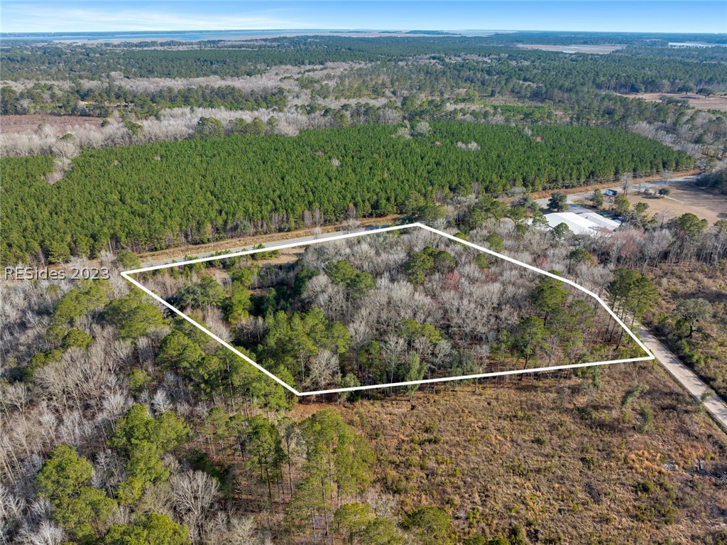 Tbd Lowcountry Drive, Ridgeland, South Carolina image 8