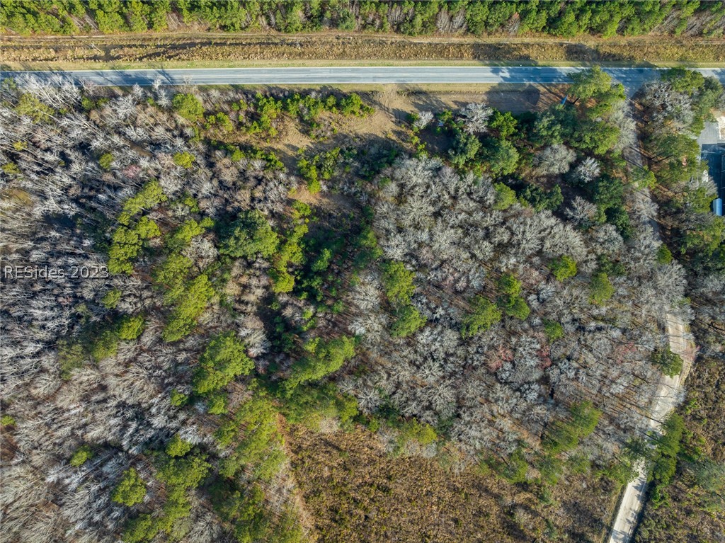 Tbd Lowcountry Drive, Ridgeland, South Carolina image 27