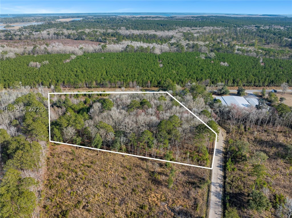 Tbd Lowcountry Drive, Ridgeland, South Carolina image 9