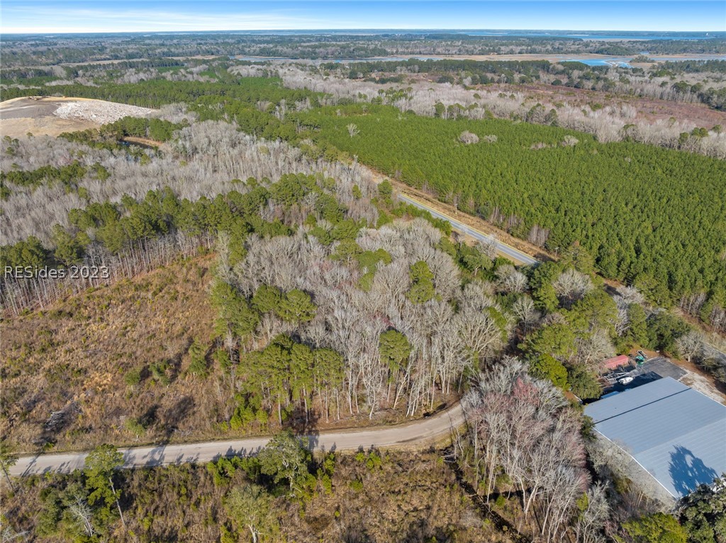 Tbd Lowcountry Drive, Ridgeland, South Carolina image 26