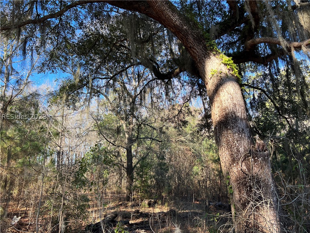 Tbd Lowcountry Drive, Ridgeland, South Carolina image 16