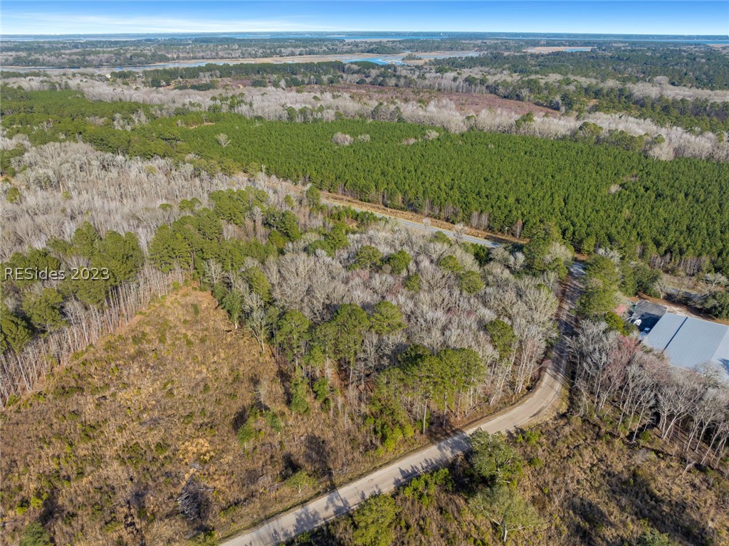 Tbd Lowcountry Drive, Ridgeland, South Carolina image 25