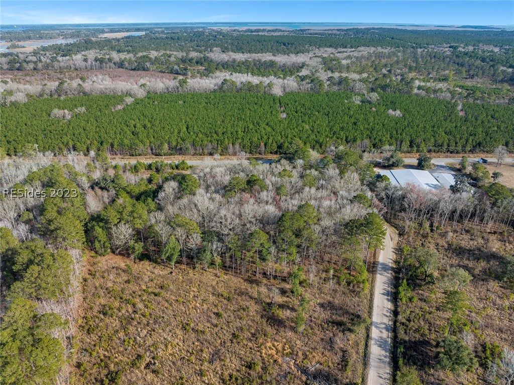 Tbd Lowcountry Drive, Ridgeland, South Carolina image 24